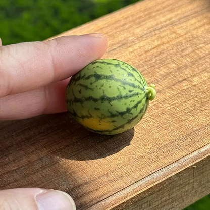 Miniature watermelon toy OB11 mini model